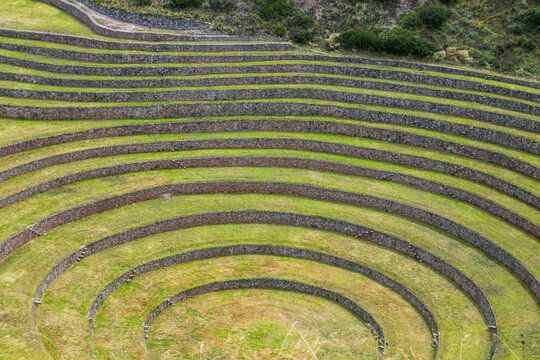 View of the circular agricultural terraces of Moray with stone retaining walls and green grass in Cusco, Cusco, Peru.