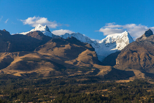 View of the snow-capped peaks of the Cordillera Blanca mountain range rising above brown slopes and pine forests in Ancash, Peru.