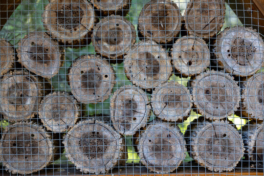 Stacked natural wood logs behind wire mesh with insect nesting holes, creating a rustic texture and habitat concept for biodiversity, wildlife conservation, sustainable gardening and ecology.
