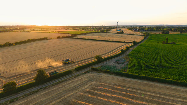 Aerial view of a combine harvester working in golden wheat fields during the harvest season with lush green crops and a wind turbine in the distance in Enderby, England, United Kingdom.
