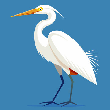  egret