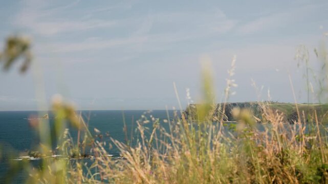 Scenic ocean view of the Asturian coast near Aviles in Spain with wild grass blowing in the wind during a summer day, showing a distant cliff and calm sea perfect for hiking