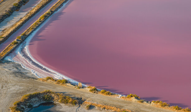 Aerial view of vibrant pink salt pond with curved shoreline and white mineral deposits in Camargue, France.