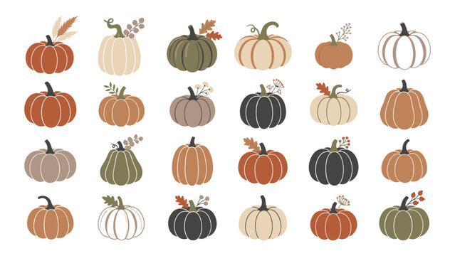 Boho autumn pumpkins collection with cozy fall leaves and minimalist botanical illustrations.