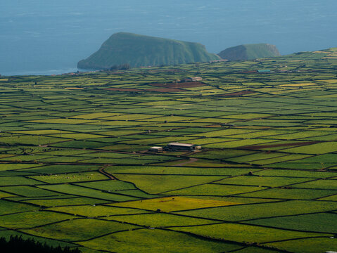 View of Terceira Island Patchwork fields with lush green agricultural plots divided by stone walls and a coastal hill in the background, Azores, Portugal.
