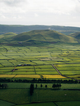 View of Terceira Island Patchwork fields with vibrant green agricultural plots divided by stone walls and rolling hills under a soft cloudy sky in Azores, Portugal.