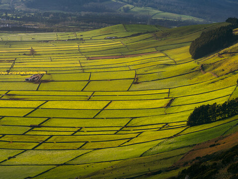 View of the Terceira Island Patchwork fields featuring vibrant green pastures divided by traditional stone walls and rolling hills in the Azores, Portugal.