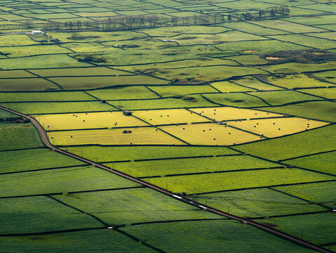 View of Terceira Island Patchwork fields with vibrant green pastures divided by traditional stone walls, hay bales, and a tractor working in the field in the Azores, Portugal.
