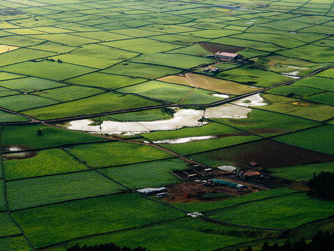 View of Terceira Island Patchwork fields with lush green pastures, stone walls, and small farm buildings Azores, Portugal.