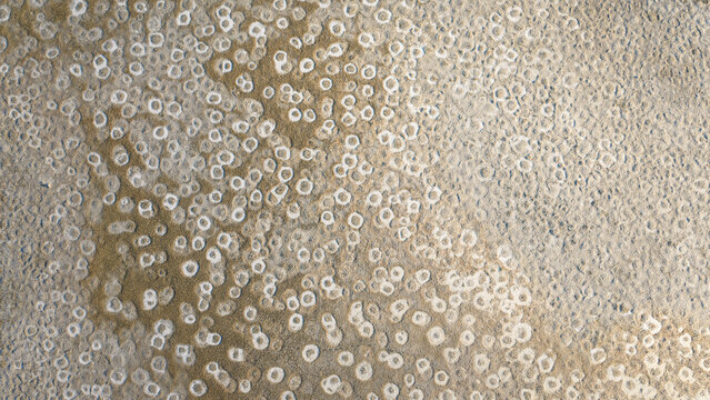 Aerial view of white salt crystals and mineral deposits forming circular patterns on the textured surface of a salt flat in France.