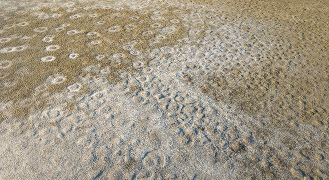 Aerial view of abstract texture of white salt crystals and mineral deposits forming circular patterns on the ground in France.