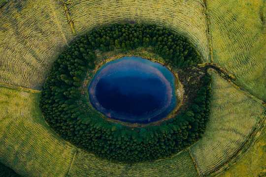 Aerial view of a vibrant blue volcanic crater lake surrounded by a dense ring of evergreen trees and textured green agricultural fields on Sao Miguel, Azores, Portugal.