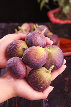 Fresh Ripe Figs in Hands - Yunnan Purple and Green Fruit with Natural Skin Texture