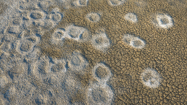 Aerial view of cracked earth with circular salt crystal formations in France.