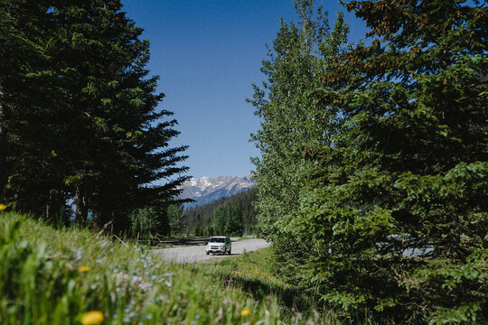 View of a white car driving along a road through a dense pine forest with snow-capped mountains in the distance under a clear blue sky in Canmore, Alberta, Canada.