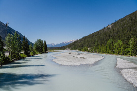 View of the Bow River with turquoise glacial water, gravel bars, pine forests, and mountain peaks under a clear blue sky in Canmore, Alberta, Canada.