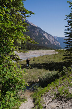 View of a man walking along a riverbank in a valley with mountains in the background under a clear blue sky in Canmore, Alberta, Canada.
