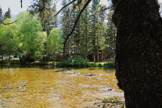 View of a tranquil river flowing past a wooden cabin nestled among pine and deciduous trees in Canmore, Alberta, Canada.