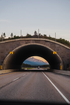 View of a wildlife overpass spanning a highway with mountains in the background under a clear sky in Lake Louise, Alberta, Canada.