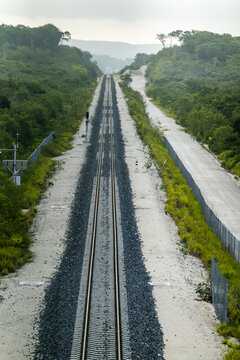 View of the Tren Maya railway tracks stretching through the dense jungle landscape with gravel ballast and surrounding greenery, Calakmul, Campeche, Mexico.