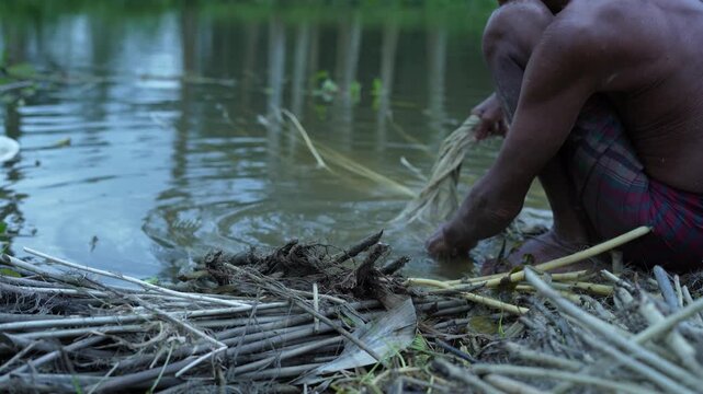Traditional jute retting and washing process in rural water pond by local farmer close up