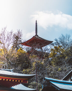 View of a traditional red pagoda rising above lush trees and temple rooftops in Japan.