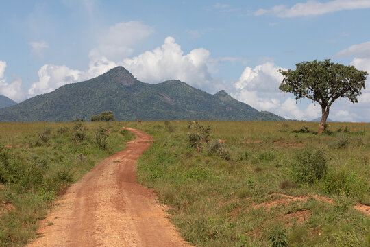View of a dirt road winding through the grassy savanna landscape towards distant mountains under a blue sky with scattered clouds in Uganda.