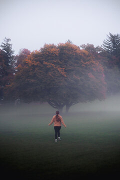 View of a woman walking towards a large tree with autumn foliage in a foggy park in Bern, Canton of Bern, Switzerland.