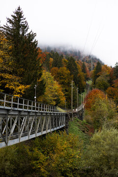 View of the Niesenbahn funicular railway track winding through a dense forest with vibrant autumn foliage and misty mountain slopes in Reichenbach im Kandertal, Canton of Bern, Switzerland.