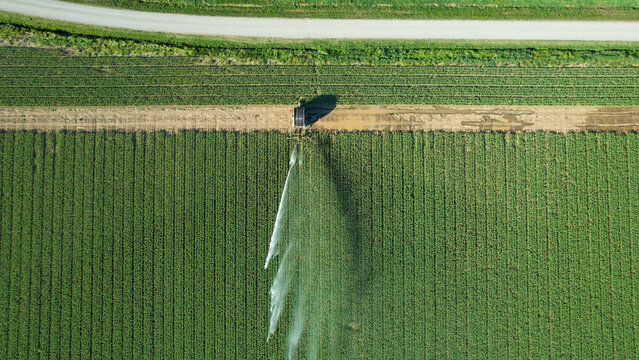 Aerial view of Po Valley agriculture irrigation system spraying water over green crops in a field with a dirt path in Castelvetro Piacentino, Emilia-Romagna, Italy.