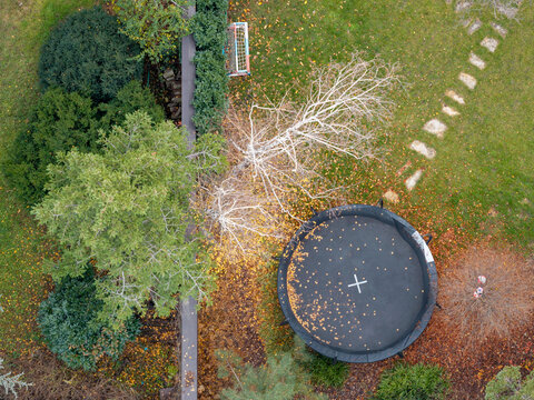 Aerial view of a residential backyard featuring a black trampoline, scattered autumn leaves, lush green trees, and a stone path in Belgrade, Serbia.