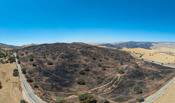 Aerial view of the Caliente Fish Fire burn area showing charred hillsides, scorched earth, and scattered trees along a winding road in Caliente, CA, United States.