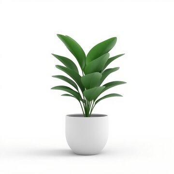 3D minimalist zz plant in sleek pot