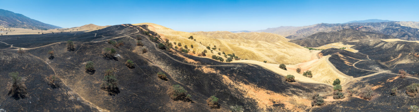 Aerial view of the Caliente Fish Fire burn area showing charred black hillsides contrasting with golden grass, dirt roads, and scorched trees in Caliente, CA, United States.