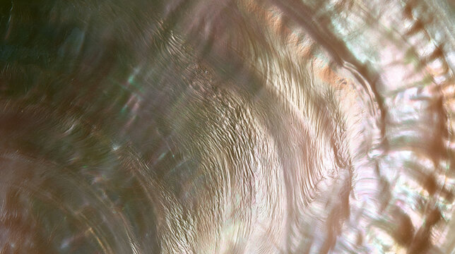 Organic Mother of Pearl Surface with Flowing Iridescent Shell Texture Background