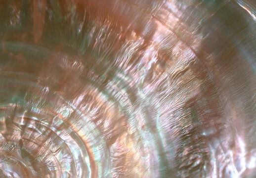 Vertical Iridescent Oyster Shell Texture with Soft Pearlescent Abstract Pattern