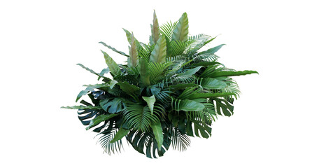 Plant leaves Green nature Tropical forest isolated on transparent background - png © Design Zone