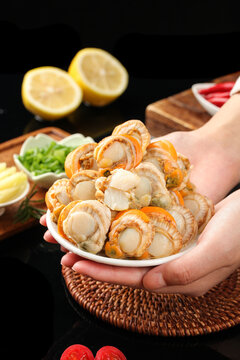 Fresh Raw Scallops with Yellow Meat in Bowl - Qingdao Seafood on Ice Ready for Cooking