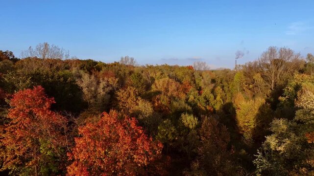 Drohnenflug von unten Richtung Laubwald mit Industrie im Hintergrund. Wechsel von frontal in overhead shot. Wald in Herbstfarben. Stadt in Deutschland im Herbst. D-Log vorhanden