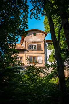 Weathered Wooden House Stands Behind Trees During an Ongoing Renovation