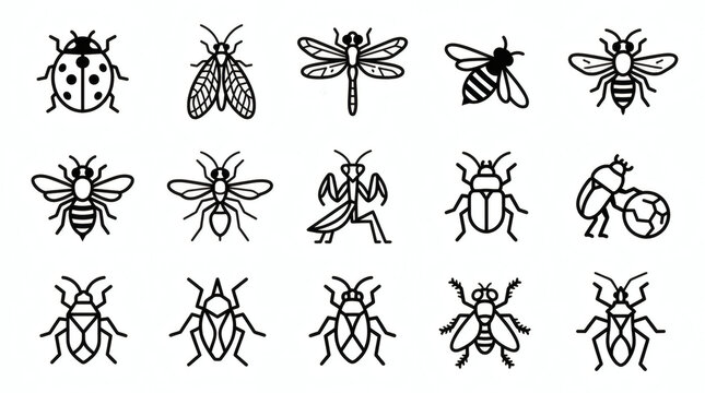 set of vector silhouettes of branches