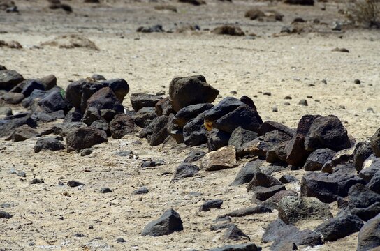 Piedras en el fondo de una antigua laguna ahora seca en Al-Azraq Al-Shamaly, Jordania