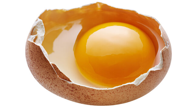 Broken brown chicken egg with bright yellow yolk and white albumen, isolated on transparent background