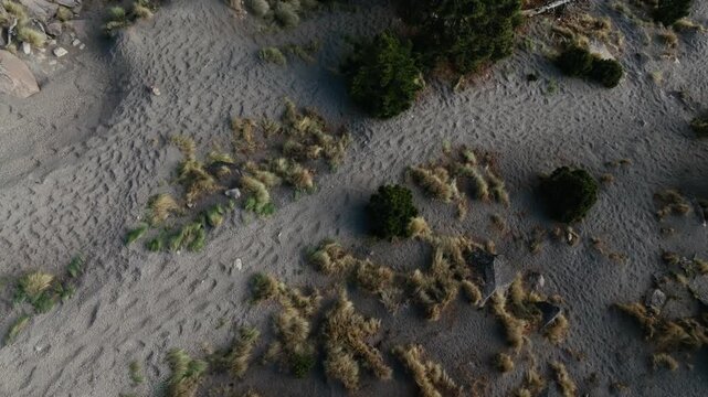 Remote Natural Landscape With Rugged Terrain In Nevado de Colima National Park, Mexico. Aerial Tilt-up Shot