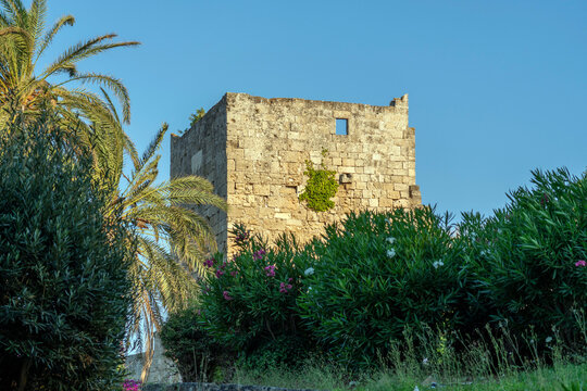 Old stone tower stands among palm trees and green bushes in Rhodes