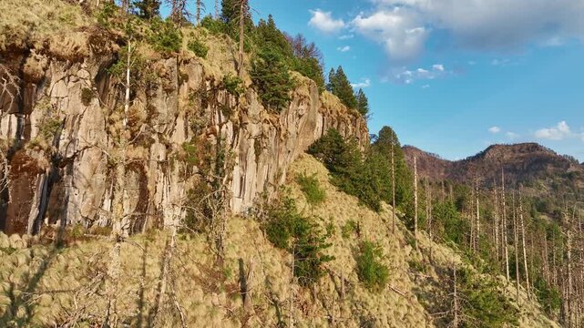 Steep Cliffs With High-altitude Pine-oak Woods And Fir Trees At Nevado de Colima In Mexico. Aerial Shot