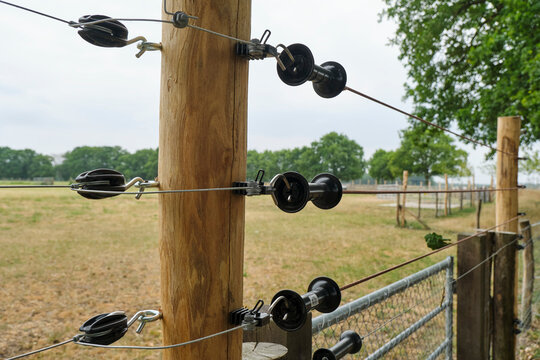Electric fence designed to protect cattle from wolves and other predators in The Netherlands	