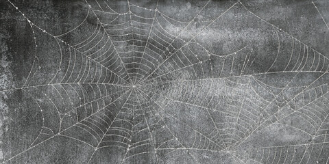 spider web with dew drops and background rustic marble decoration. © MAA BAHUCHAR