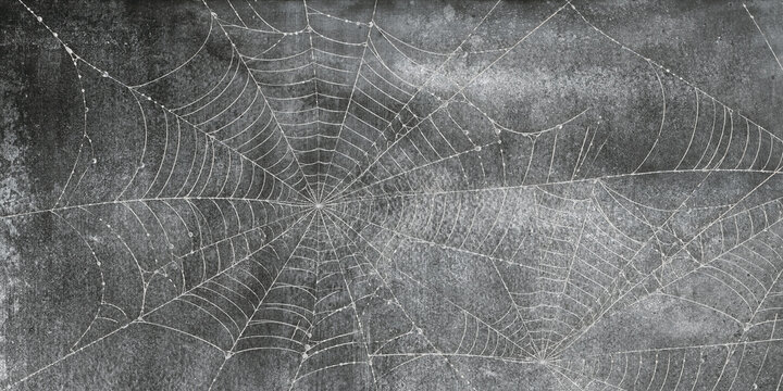 spider web with dew drops and background rustic marble decoration.