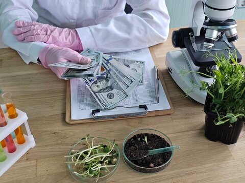 Researcher handling cash and plants